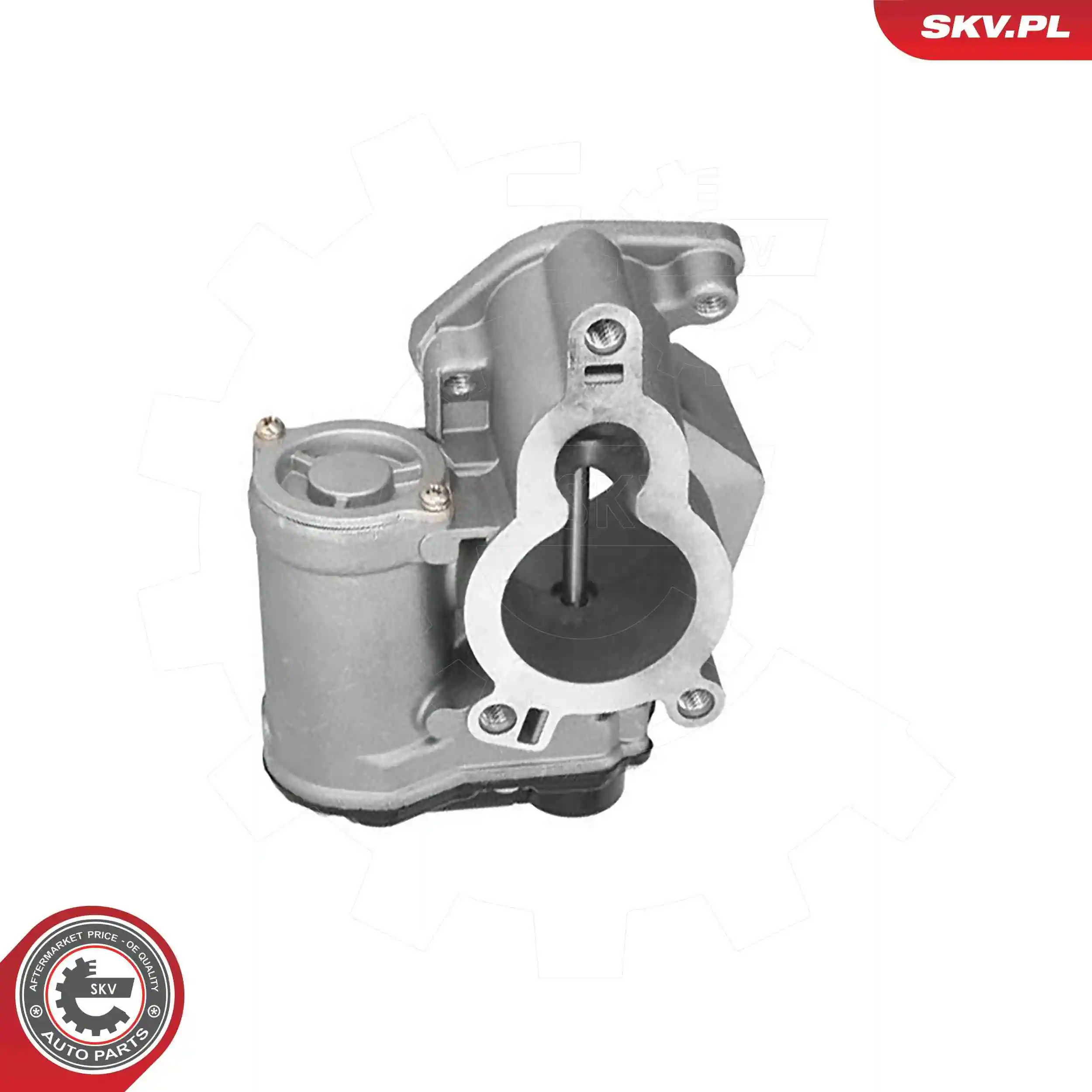 EGR Valve